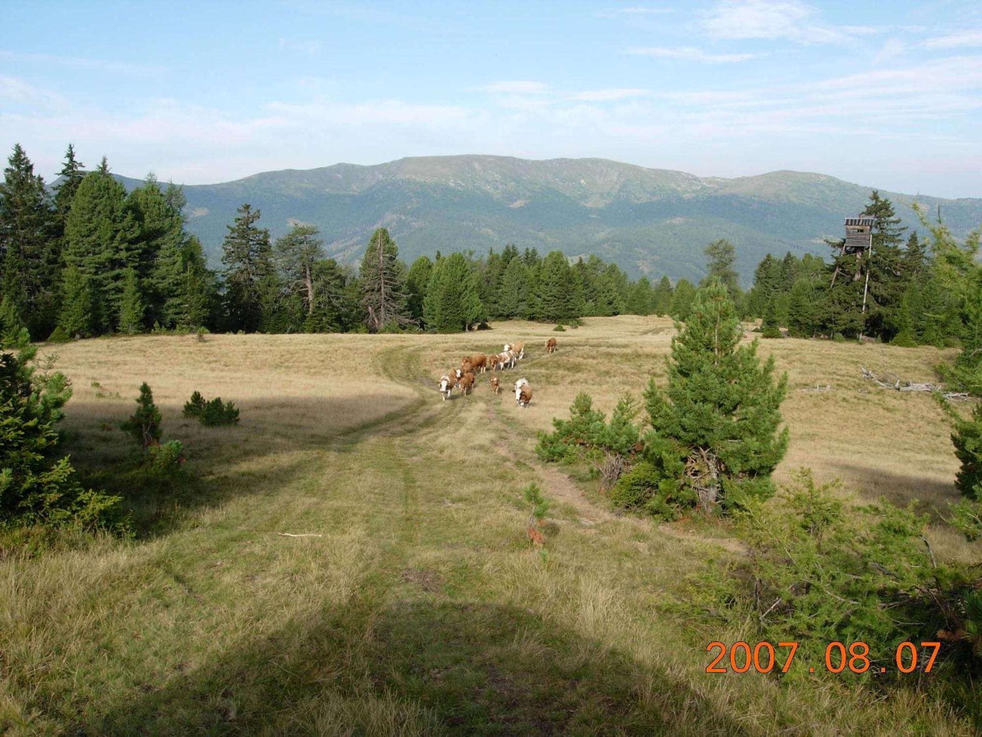 Da Braeuhauser Stadl an der Mur Екстериор снимка